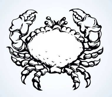 Büyük kırmızı, sağlıklı dekapod, açık kumda sürünüyor. El yazısı, siyah mürekkep, sağlıkçı aşçı ıstakoz amblemi tasarımı, eski sanat eserleri, kağıt metin alanlarına kazınmış kalem tasarımı. Üst görünümü kapat