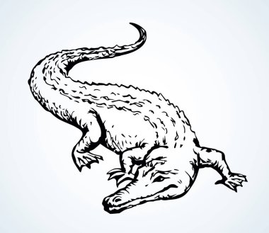 Squamate nile old giant rough scaly Crocodylia on sand. Freehand outline dark black ink hand drawn zoo logo emblem pictogram design in retro art doodle cartoon engrave print style on paper text space vector Squamate nile old giant rough scaly Crocodylia on sand. Freehand outline dark black ink hand drawn zoo logo emblem pictogram design in retro art doodle cartoon engrave print style on paper text space vector