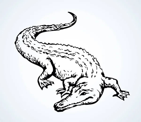 Squamate Nile Vieux Géant Rugueux Crocodylia Sur Sable Encre Noire — Image vectorielle