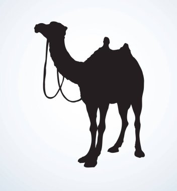 Büyük tatlı egzotik dromader gökyüzü zemin otobur hayvan kürsüye. Siyah Mürekkep el çizilmiş Doğu Hayvanat Bahçesi fauna Hayvancılık logo amblem modern sanat dağılım basık metin için yer üzerinde yazdırma stili. Profil görünümü