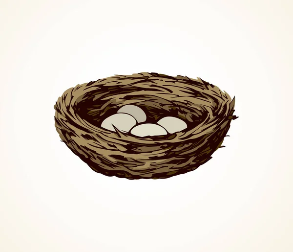 Nueva Ramita Tejida Eco Birdnest Sobre Fondo Blanco Color Marrón — Archivo Imágenes Vectoriales