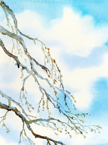 明るい手描きのアーティストの水彩画のスケッチ白い紙のカードのテキストスペースの背景に描画します 東黒インクカラーペイントブラシスタイルのデザイン風光明媚なビュー ロマンチックな高齢者の死フェードの芽の庭のシーン — ストック写真