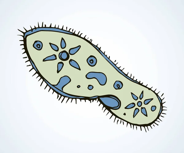 Forma Oval Abstracta Diminuto Protista Ameba Orgánulo Elemento Parásito Película — Archivo Imágenes Vectoriales