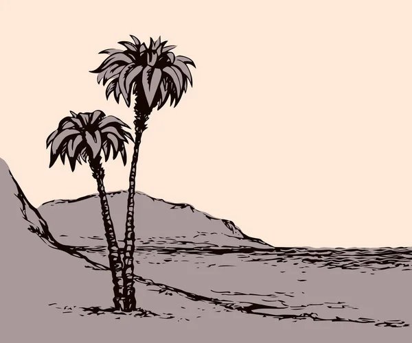 Летний Живописный Вид Фон Белой Бумаги Высокие Пышные Кокосовые Пальмы — стоковый вектор