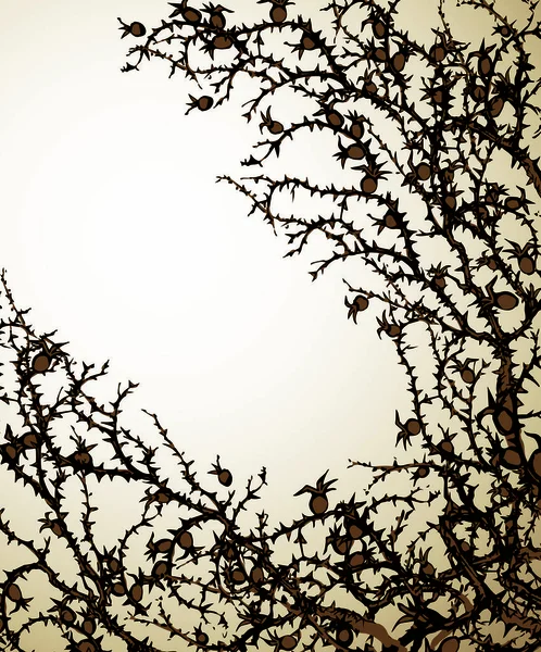 Παλιά Φθινόπωρο Ισχίο Αυξήθηκε Στάχτη Δέντρο Φως Φόντο Περίγραμμα Σκούρο — Διανυσματικό Αρχείο
