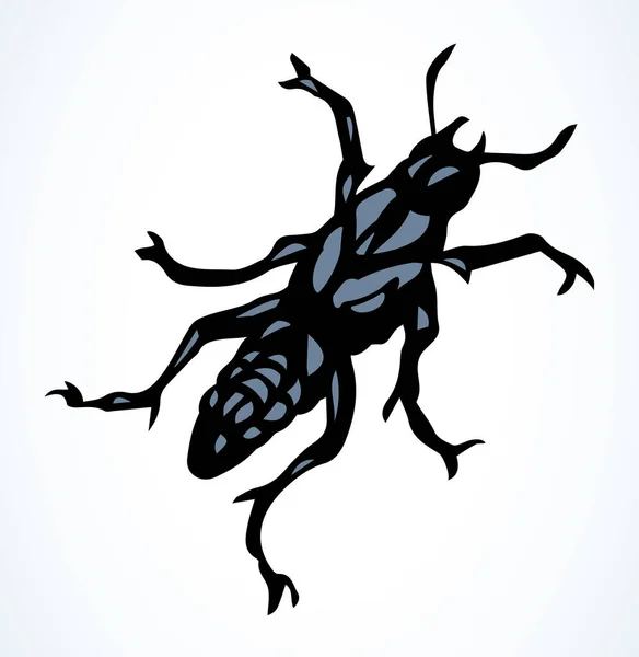 薄紙のテキスト空間の背景に東ティモールのクランバー昆虫 概要黒インクペン手描きフォレストライフロゴピクトグラムエンブレムデザインでヴィンテージアートドア版画スタイル マイクロビューを閉じる — ストックベクタ