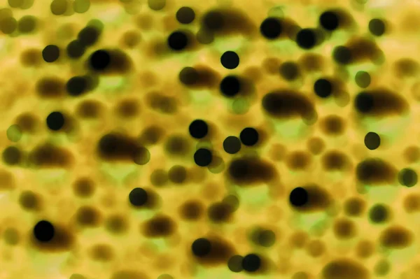 Dark olive color blur covid19 sars risk foam bubble circle spot ball particle effect design. China genetic concept wet yellow blood molecule. Detail round brown gene dot close up micro view text space