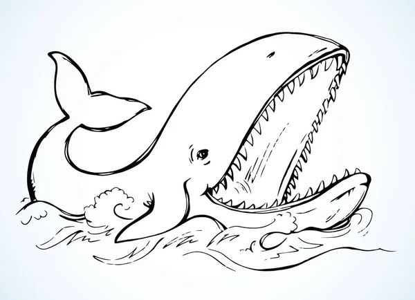 Lindo Atlántico Aqua Baleen Viejo Minke Azul Vista Brecha Fondo — Vector de stock