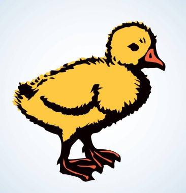 Köyün Drake Yavrusu 'nun ışık perdesi. Parlak sarı renkli el çizilmiş yeni kırsal hayvanat bahçesi logosu piktogram amblem tasarımı retro ar doodle oymalı kağıt metin alanı üzerine kalem. Görüntüyü kapat