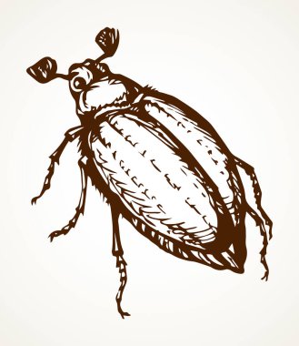 Açık kağıda yazılı arkaplanda tatlı bir kadın kavunzarı. Serbest doğrusal koyu kahverengi mürekkep el çizimi resim amblemi. Sanat eskiz yazdırma stili. Mikro detay görünümünü kapat