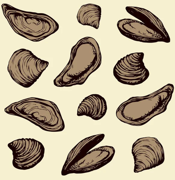 Big Fresh Perl Ostreidae Mollusc Beige Backdrop Outline Brown Ink — Stock Vector