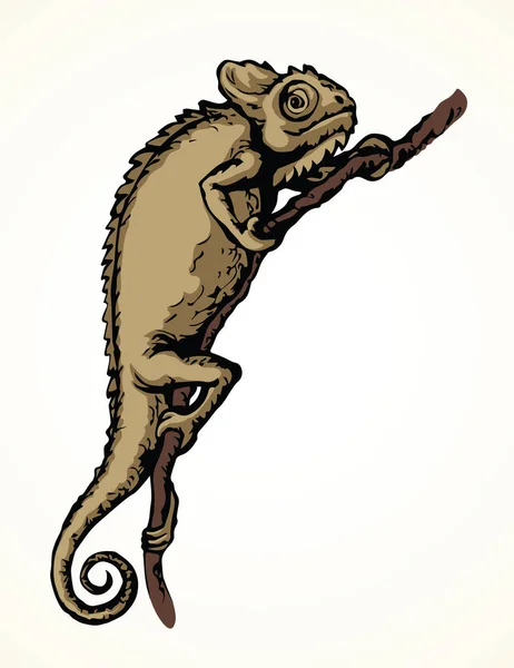 Gran Camaleón Doméstico Edad Lacertilia Patrón Cola Espacio Texto Papel — Archivo Imágenes Vectoriales
