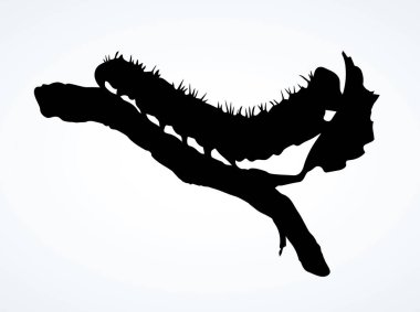 Makro görüntüyü kapat. Büyük vahşi bahçe yeşil kıllı kelebek larvası bacağı. Açık beyaz kağıt metin alanı. Ana hatları siyah mürekkep çizili şirin büyüme çubuğu logosu pictogram tasarımı sanat doodle eskiz retro tarzı