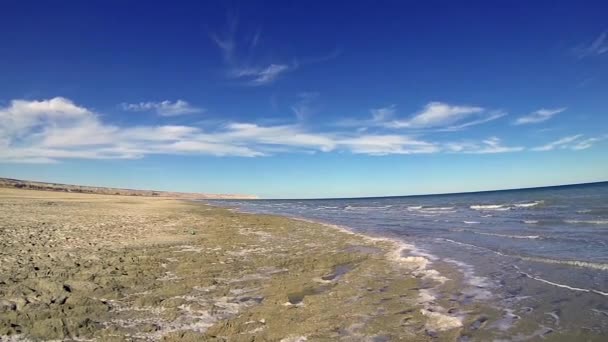 Panorama of the Aral sea and clay beach, Uzbekistan — Stock Video
