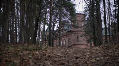 Sonbahar ormanlarındaki esrarengiz ortaçağ şatosu ya da manastırı rüzgarlı bir günde.