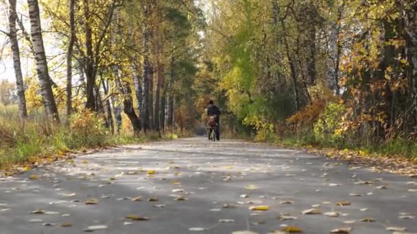Padre Hijo Divierten Parque Otoño Lindo Niño Practicando Ciclismo Padre — Vídeos de Stock