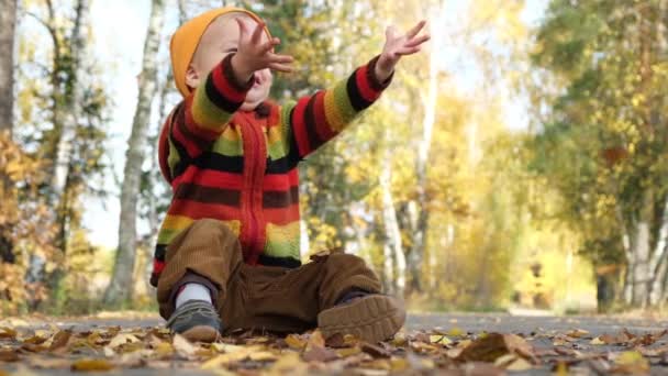 Enfant mignon en chandail tricoté coloré assis sur la route vide dans le parc d'automne et essayant d'attraper les feuilles tombantes. Bonne ambiance automnale. Mouvement lent .
