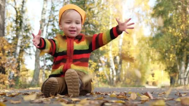 Enfant mignon en pull tricoté coloré et chapeau orange assis sur la route vide dans le parc d'automne et essayant d'attraper les feuilles tombantes. Bonne ambiance automnale. Mouvement lent . 