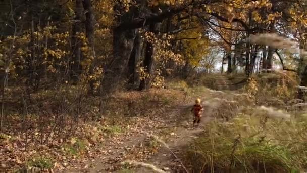 カラフルなニットセーターとオレンジの帽子でかわいい子供の男の子は秋の森の田舎道を走っています 秋の散歩 — ストック動画