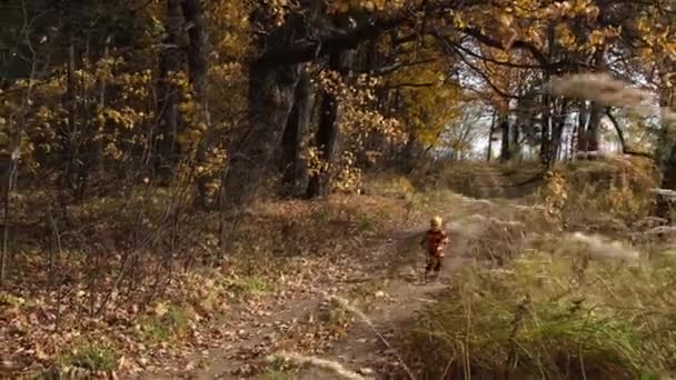 Menino Bonito Suéter Malha Colorido Chapéu Laranja Corre Estrada Rural — Vídeo de Stock