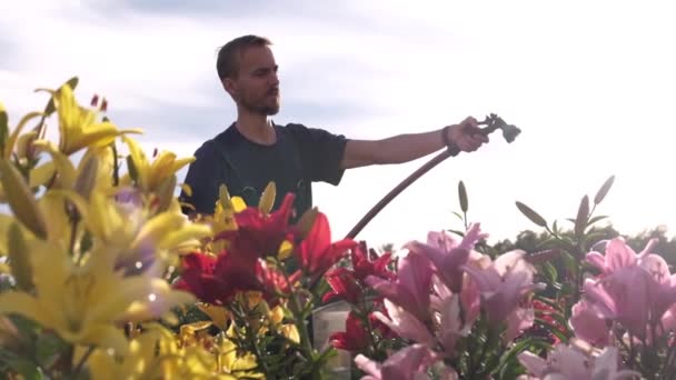 Bearded Gardener Hosing Lilies Flower Bed Young Caucasian Man Watering — 비디오