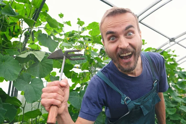 Humour Criant Agriculteur Masculin Avec Houe Jardin Intérieur Serre Jardinier — Photo
