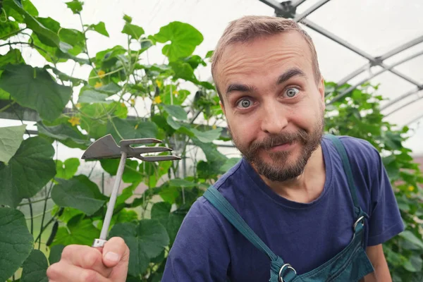 Fermier Mâle Drôle Avec Houe Jardin Intérieur Serre Jardinier Souriant — Photo