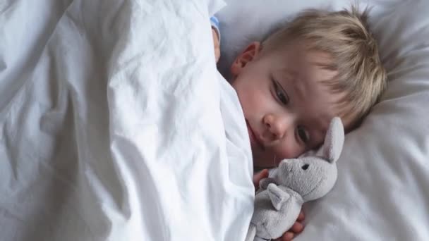 Portrait Little Child Boy Wakes Early Morning Bed Hugs His — Stock Video