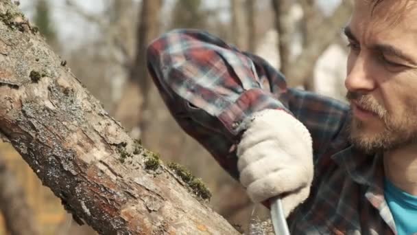 Jardineiro Masculino Limpando Cascas Casca Morta Musgo Uma Velha Macieira — Vídeo de Stock