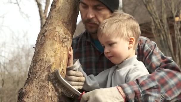 Ojciec Ogrodnik Uczy Swojego Synka Pracującego Rodzinnym Ogrodzie Owocowym Razem — Wideo stockowe