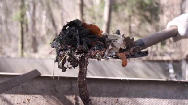 Lopata Napůl Rozloženou Kuchyní Zahradním Odpadem Převrátí Hromadu Kompostu Kompostování — Stock video