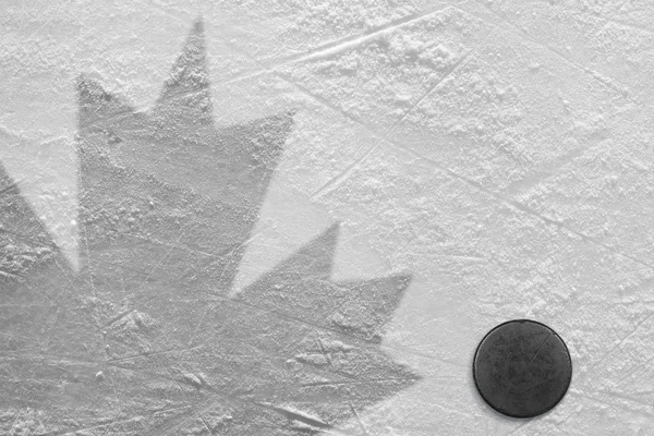Hockey puck and maple leaf — Stock Photo, Image