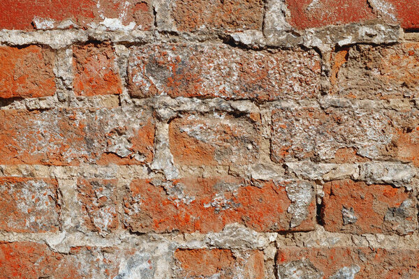 Laying an old brick wall