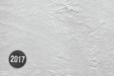 Yeni hokey sezonu 2017