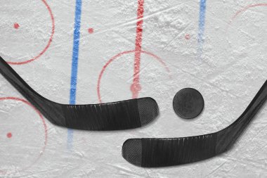 İki hokey sopaları, puck ve işaretler hokey alanıyla