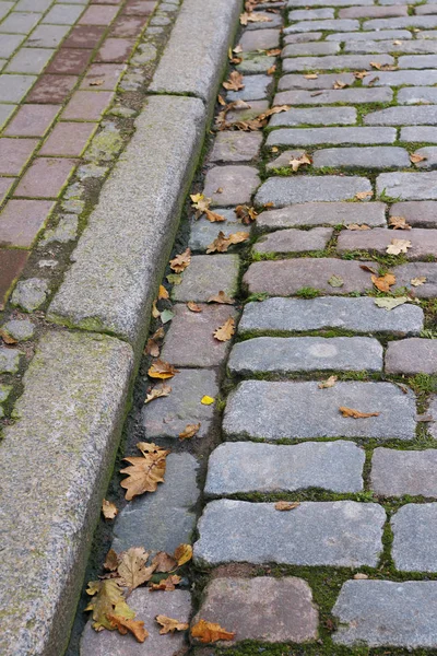 Folhas de outono em um pavimento de pedra — Fotografia de Stock