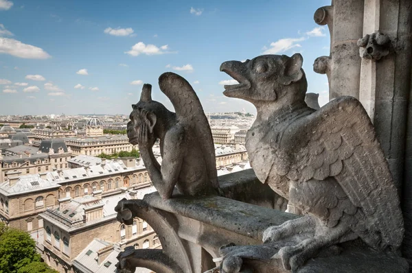 Chimera di Notre Dame — Foto Stock
