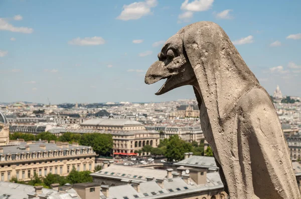 Chimera su Parigi — Foto Stock