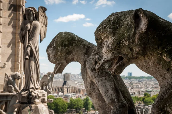 Garloyles della Cattedrale di Notre Dame — Foto Stock