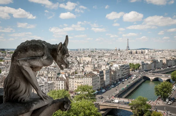 Chimera över Paris — Stockfoto