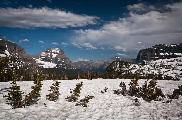 Glacier National Park in early summer — Stock Photo, Image