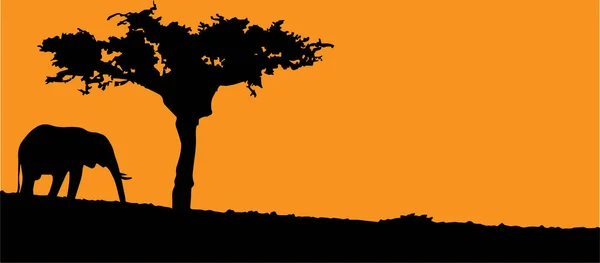 Tres elefantes y un árbol en el fondo del atardecer — Archivo Imágenes Vectoriales