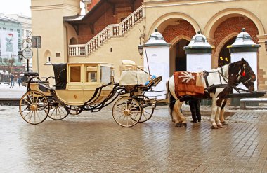 At, eski şehir Krakow Cloth Hall sokak arabaları iki at ile çizilmiş