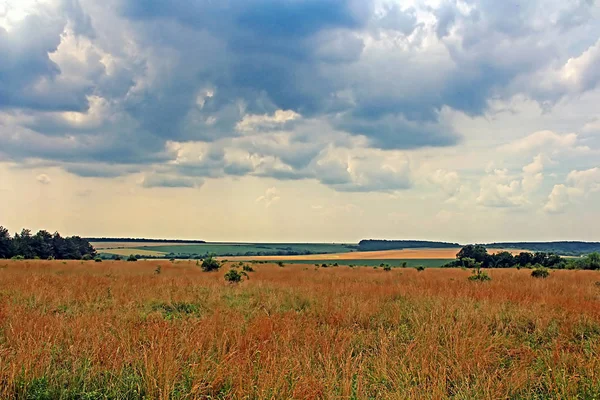 Weiden en velden in de zomer, Oekraïne — Stockfoto
