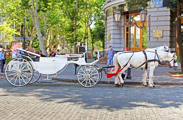 Brougham turístico nas ruas no centro histórico da cidade, Odesa, Ucrânia — Fotografia de Stock