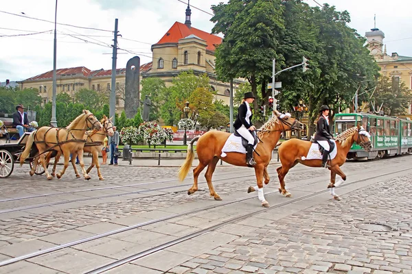 Kortegen med ryttare till häst på gatorna i historiskt centrum, Lviv, Ukraina — Stockfoto