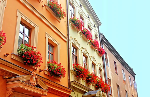 Deel huizen van de oude ingerichte bloemen in centrum van de historische stad, Lviv, Oekraïne — Stockfoto