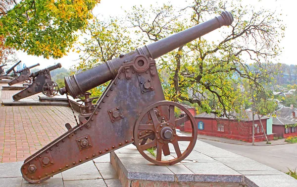Gamla kanonen i ukrainska och hösten park som bakgrund — Stockfoto
