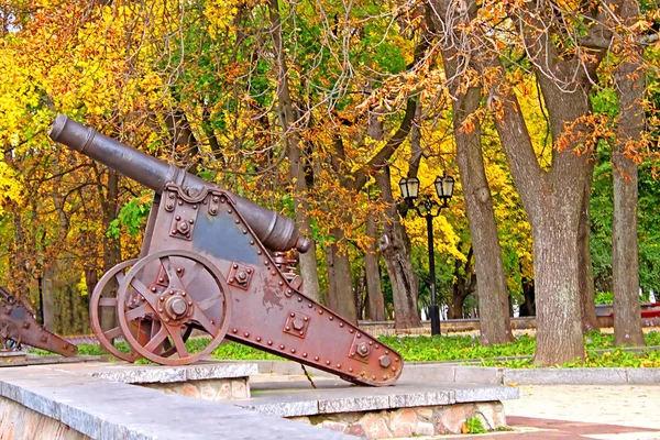 Gamla kanonen i ukrainska och hösten park som bakgrund — Stockfoto
