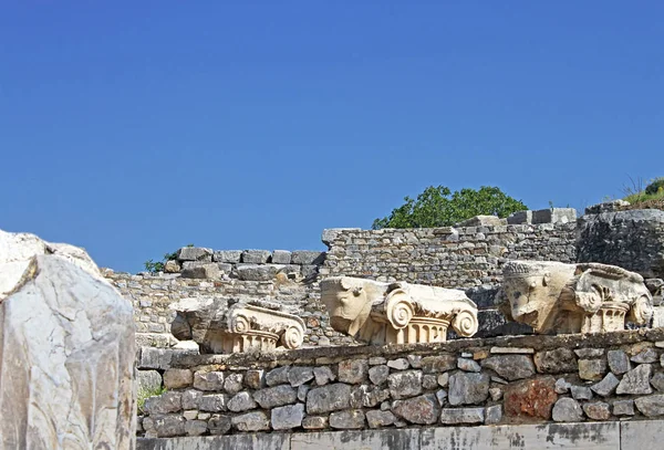 Cabezas de toro. Las ruinas de Éfeso. Antigua ciudad griega en la costa de Ionia, cerca de Selcuk. Provincia de Izmir. Pavo. Asia Menor — Foto de Stock